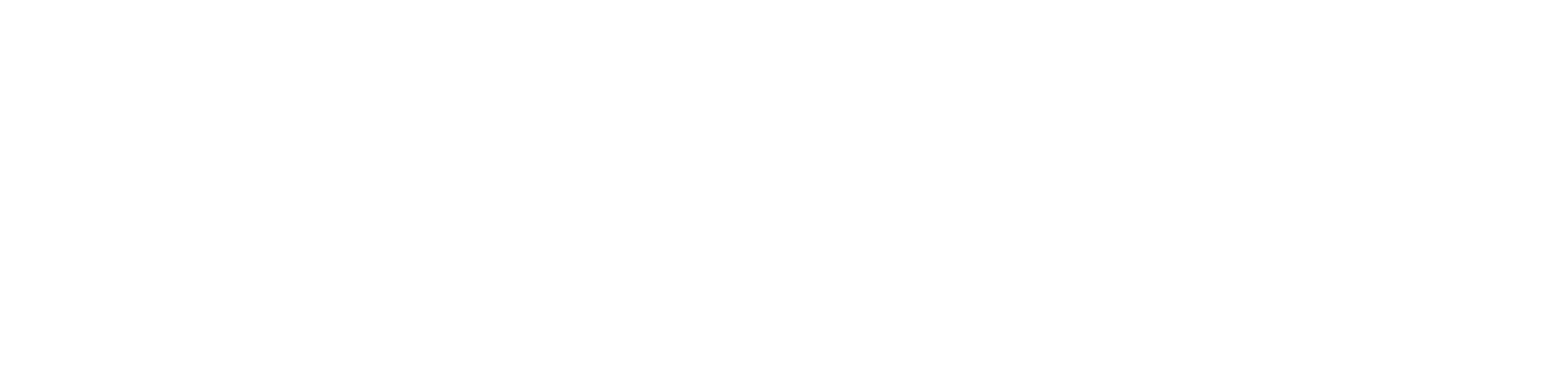 ADS Client Logo Sephora
